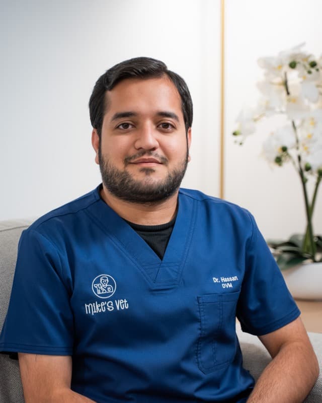 Dr. Mohamad Hassan - Vet at Mike's Vet Dubai